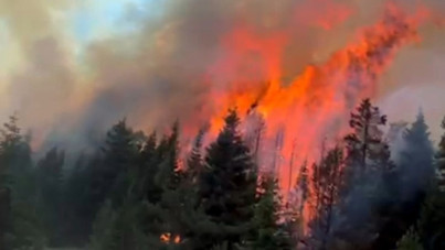 Çankırı'da orman yangını