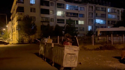 Sokak kedisini öldürüp çöpe atmıştı: Tutuklandı