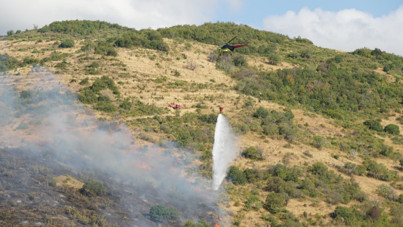 Tekirdağ'da makilik alanda yangın