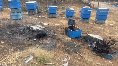 Yangında milyonlarca arı ateşe uçtu: Kovanlarda yürek yakan görüntüler