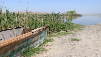 Bakanlık koruma altına almıştı... 3 yıl sonra tamamen yok olacak