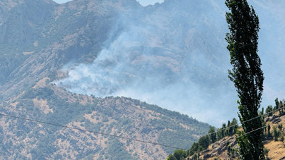 Şırnak'ta orman yangını