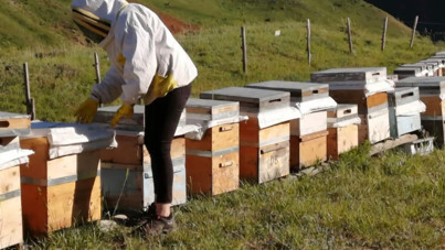 Tunceli balının fiyatı belli oldu