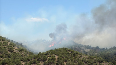 Tokat'ta orman yangını