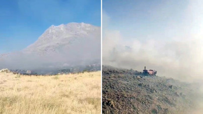 Bir orman yangını da Aksaray'da