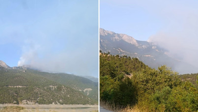 Sinop'ta orman yangını çıktı