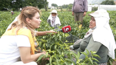 Tarım işçisi kadınlardan iktidara tepki: Senelerdir oy verdim