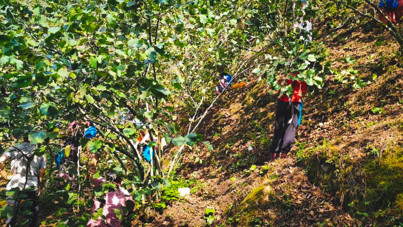 Fiyatlara tepki: En az 300 TL olmalı