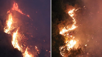 Bir orman yangını da Hatay'da