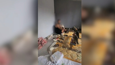 Yasaklı kuşları yurt dışına satıyordu: Silivri’de suçüstü yakalandı