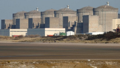 Dev nükleer santralde denizanası alarmı