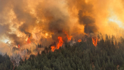 İki ilde daha ormanlar yanıyor
