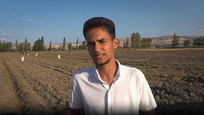 Teklife sinirlendi, bedava dağıttı