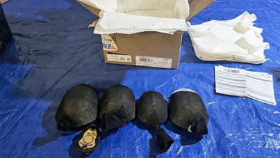 1.4 milyon dolarlık kaçakçılık: 850 kaplumbağayı çoraplara sakladı