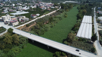 Asi Nehri'nde istila başladı: Balıklar birer birer ölüyor