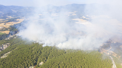 Cebimiz de yanıyor: Sadece bir hektarın maliyeti 600 bin lira