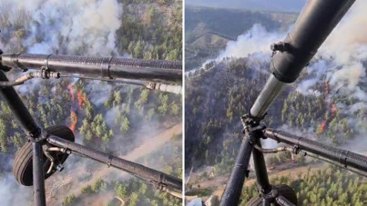 Denizli'de orman yangını