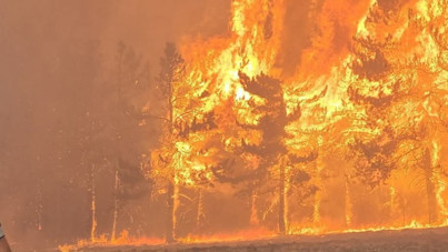 Mudurnu’daki orman yangını sonrası 1 kişi tutuklandı