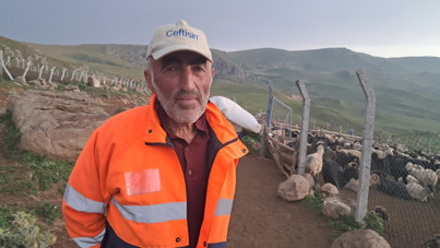 Neredeyse ağlayacaktı: Her gün bir kuzum ölüyor