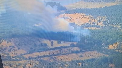 Çanakkale'de yine orman yangını