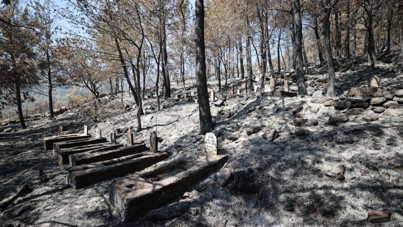 Çok acı görüntüler: Mezarlıklar da kül oldu