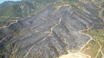 Hatay'da yangınlar söndü, geriye acı görüntüler kaldı