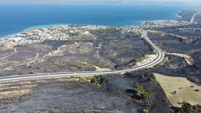 'Yaşam alanları kül oldu, bu yıl av yasaklansın'