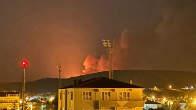 Çanakkale’de orman yangını çıktı