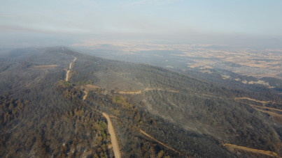 Çanakkale Gelibolu’daki orman yangını kontrol altına alındı: Yanan alanlar dronla görüntülendi