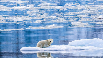 Buzullar erirse Avrupa donar: Geri dönülmez noktaya yaklaştık