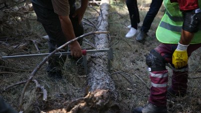 Erzurum'da yangın önlemi: Ormanlar kesiliyor