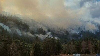 Bolu'da orman yangını