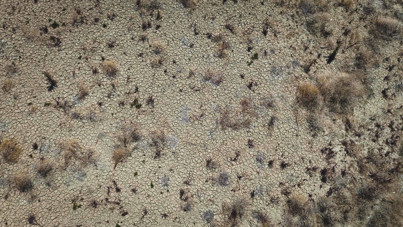 İzmir'de tehlike çanları: 40 günlük su kaldı