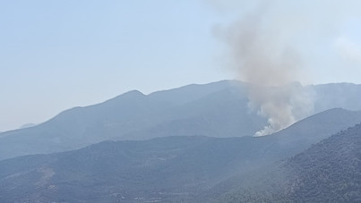 Alevler Muğla ve Adana'dan yükseldi