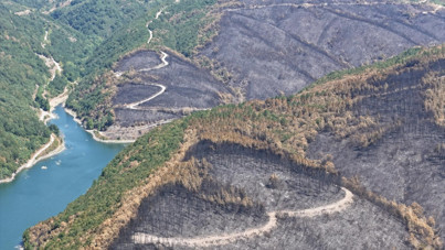 Kocaeli'de acı manzara