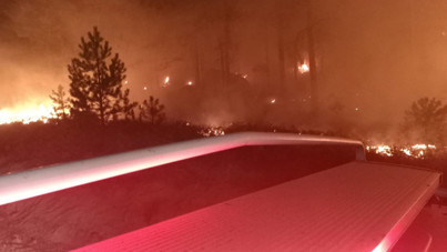 Muğla'da orman yangını