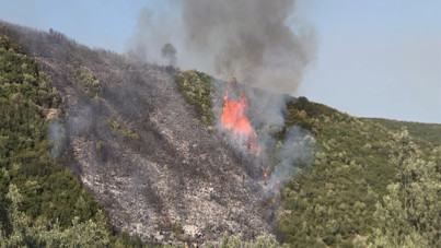 Bursa’da orman yangını soruşturmasında 1 şüpheli gözaltında