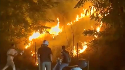 Meşaleli kutlama otluk alanı yaktı