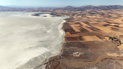 Flamingo cennetinde hayat bitti