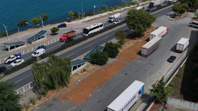 Kaldırımda fındık mesaisi