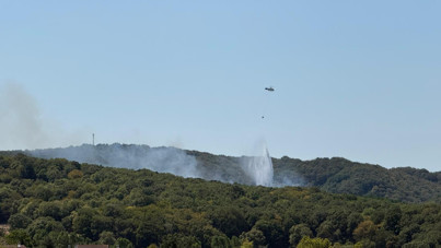 Sarıyer'de orman yangını
