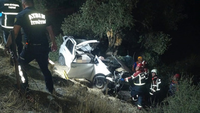 Araç şarampole uçtu, bir tek Serin sağ kaldı