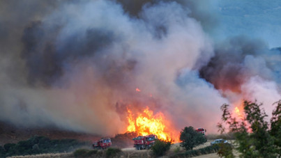 Susurluk’ta orman yangını
