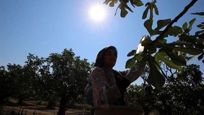 İsyan etti: 150 liraya alıp yüzde 600 fazlasına satıyorlar
