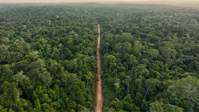 Araştırma: Her yıl 28 bin kişiyi öldürüyor