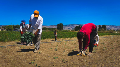 İsyan etti: Bizim ürünümüz tarlada 10 TL, markette 40 TL