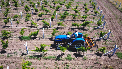 Son rakamı verdiler: 40 TL'nin altında bir fiyatı kabul etmiyoruz