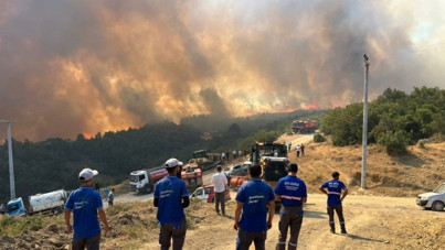 Bursa'daki orman yangını saatler sonra kontrol altında