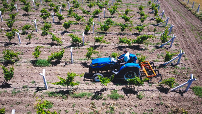 Fiyata tepki büyük: 135 TL olması gerekiyordu