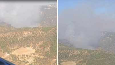 Denizli'deki orman yangını Aydın'a sıçradı